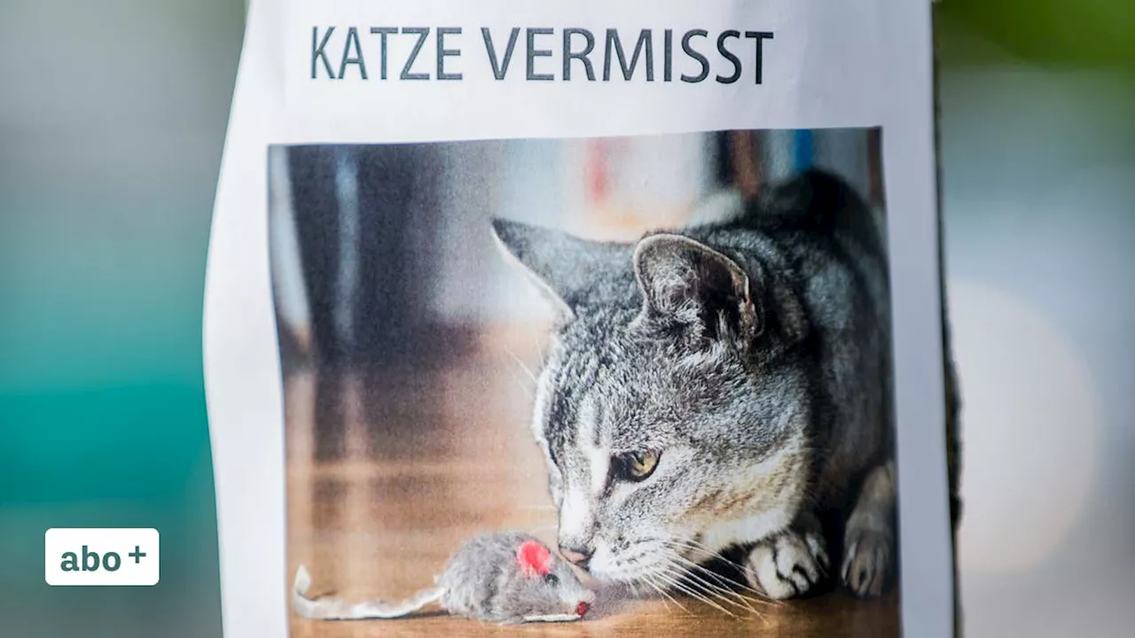 Zu viel des Guten: Gemeinde Ormalingen warnt Bevölkerung nach übermässig vielen Plakaten zu einer vermissten Katze