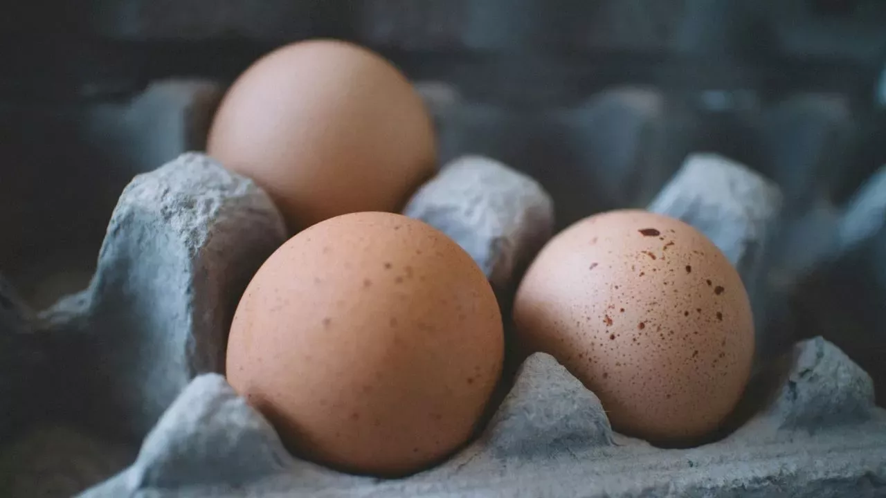 SA faces egg shortages as poultry industry recovers from avian flu