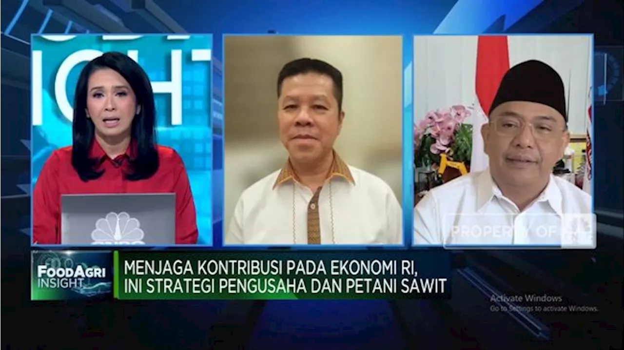 Pak Prabowo, Sektor Sawit Minta Permudah Birokrasi Lewat Badan Khusus