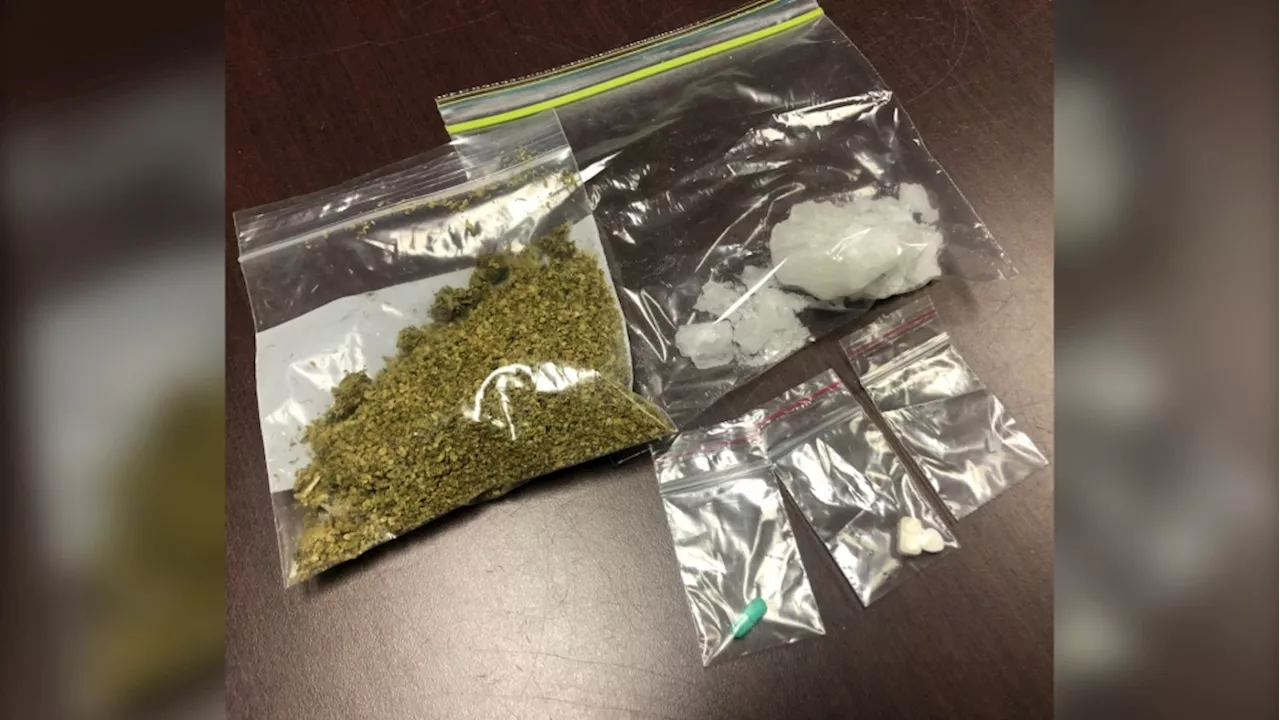 Driver caught smoking cannabis on Highway 416 in Grenville, Ont. facing charges: OPP