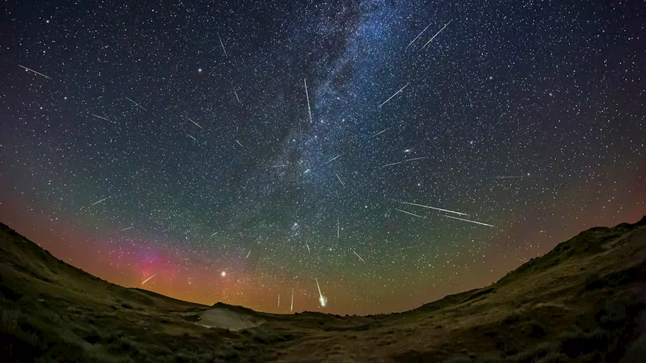 Årets största meteorregn Perseiderna går att se i Sverige