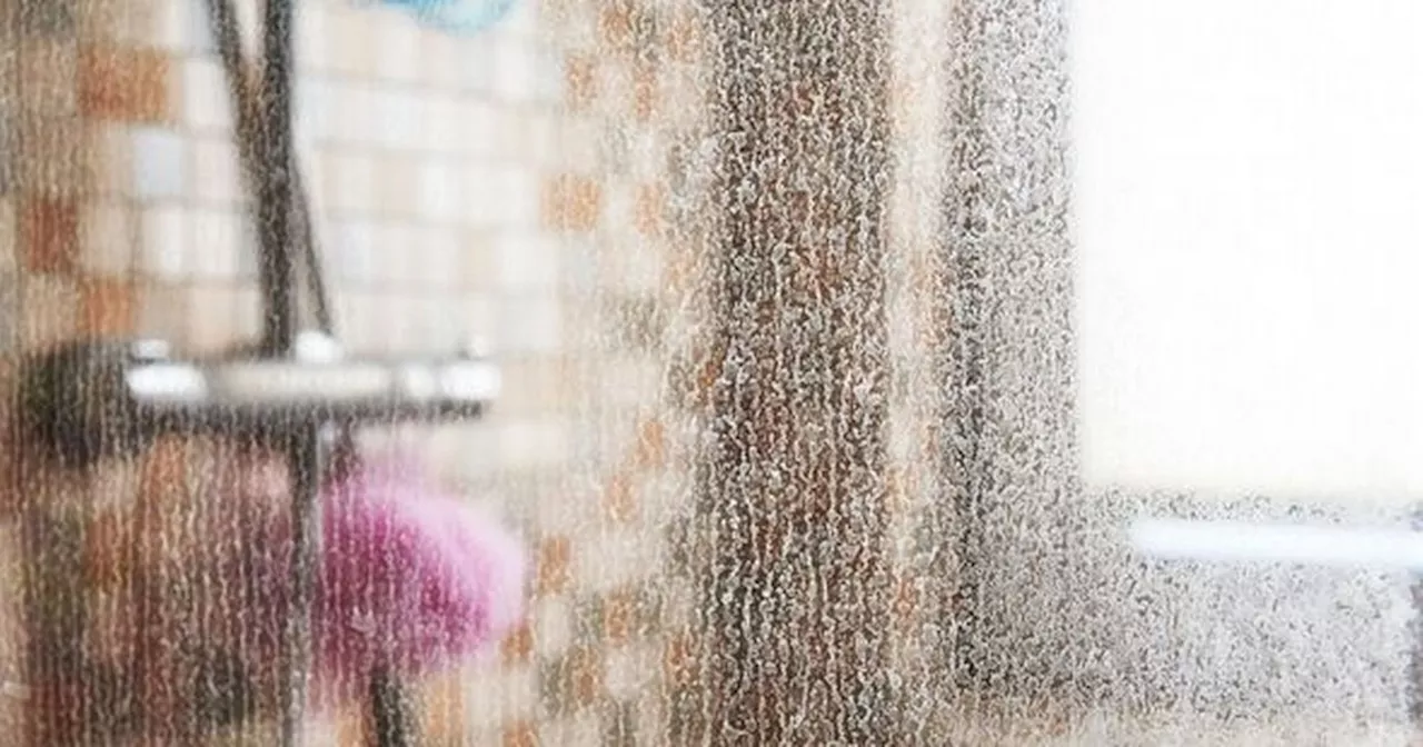 Cleaning hack to banish soap scum on shower screens uses only two ingedients