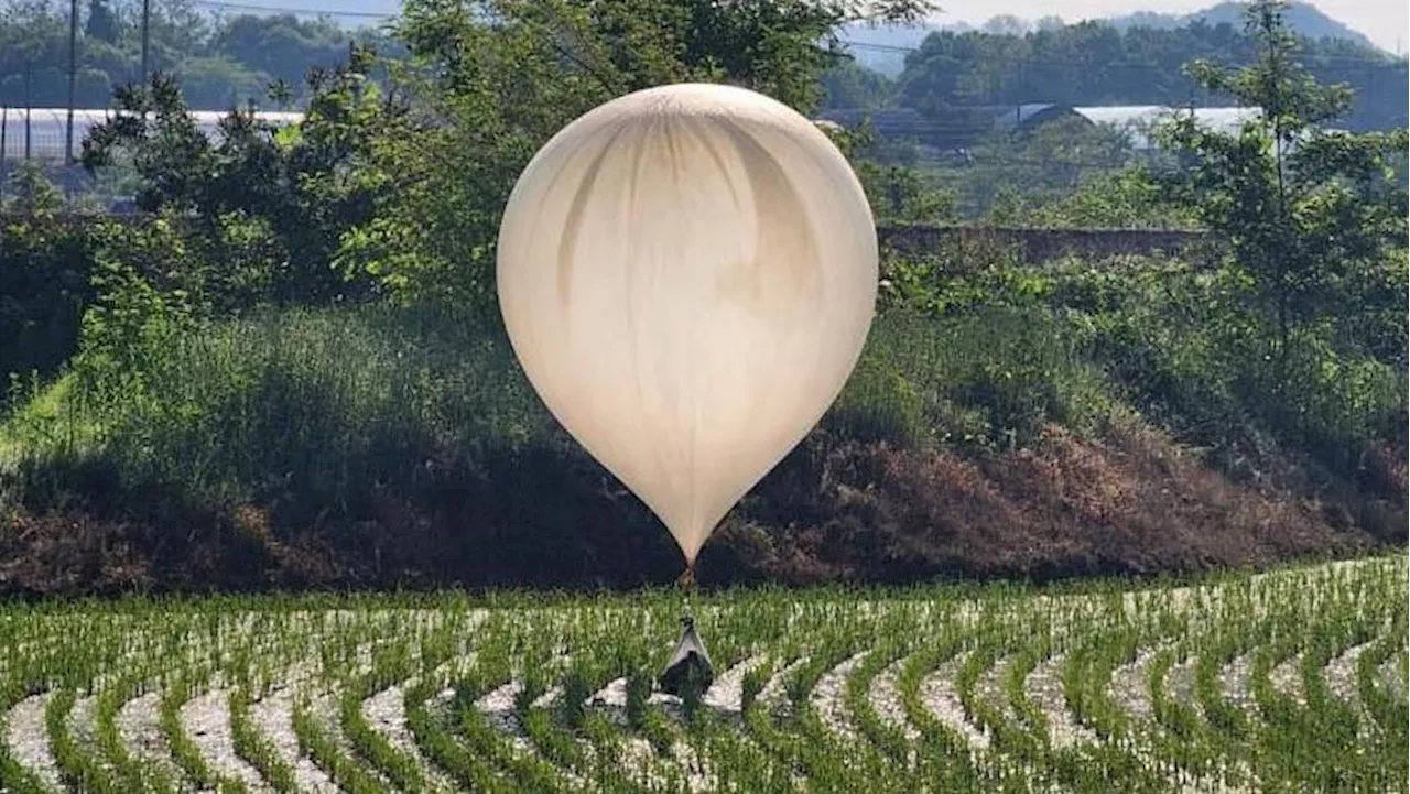 Corea del Norte ha lanzado más globos de basura hacia Corea del Sur, acusa Seúl