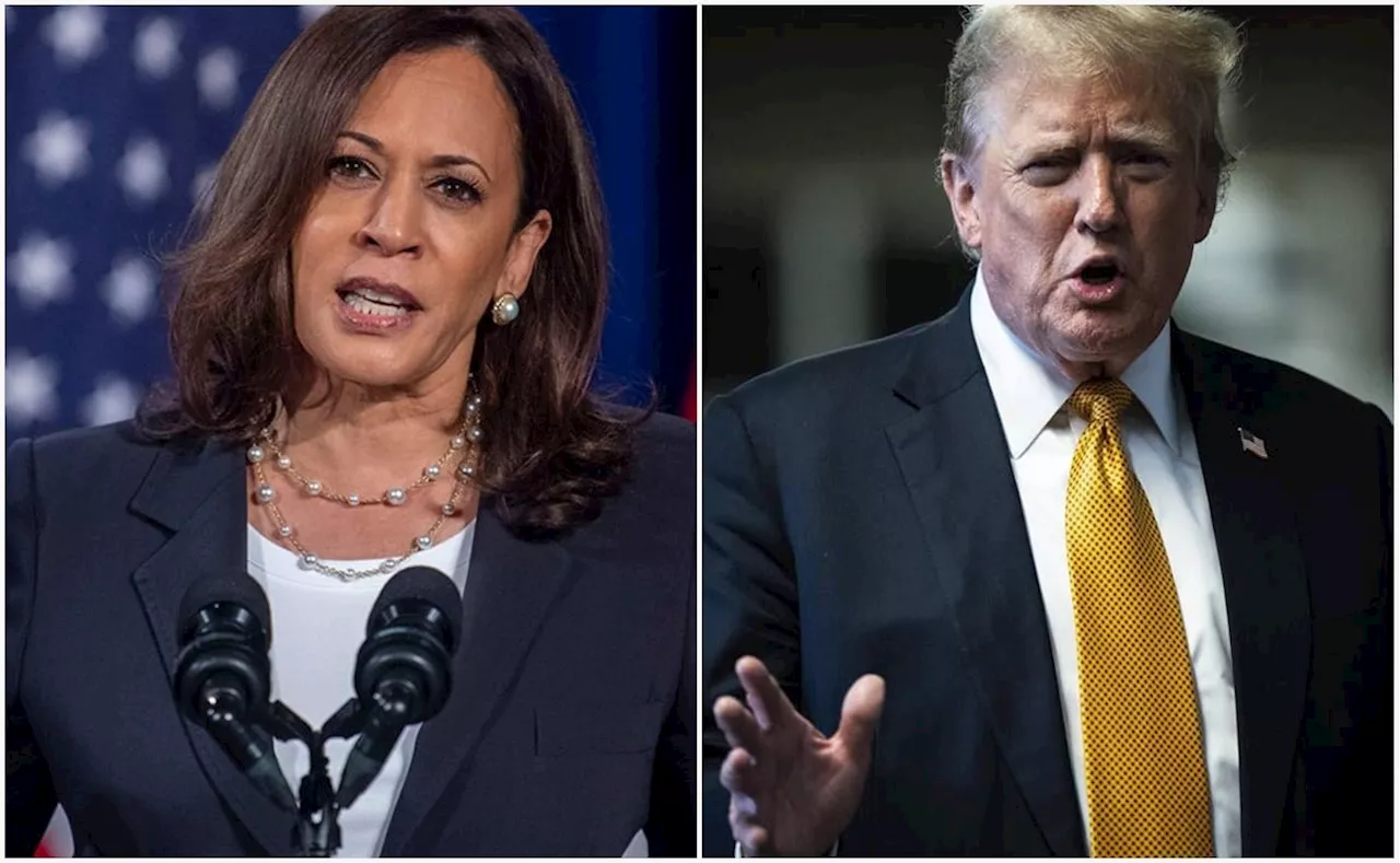 Kamala Harris aventaja a Trump en estados clave de Míchigan, Wisconsin y Pensilvania: encuesta del NYT