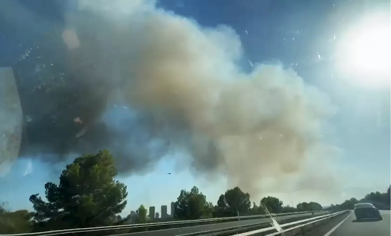 Un incendio forestal obliga a cortar la AP-7 a la altura de Benidorm