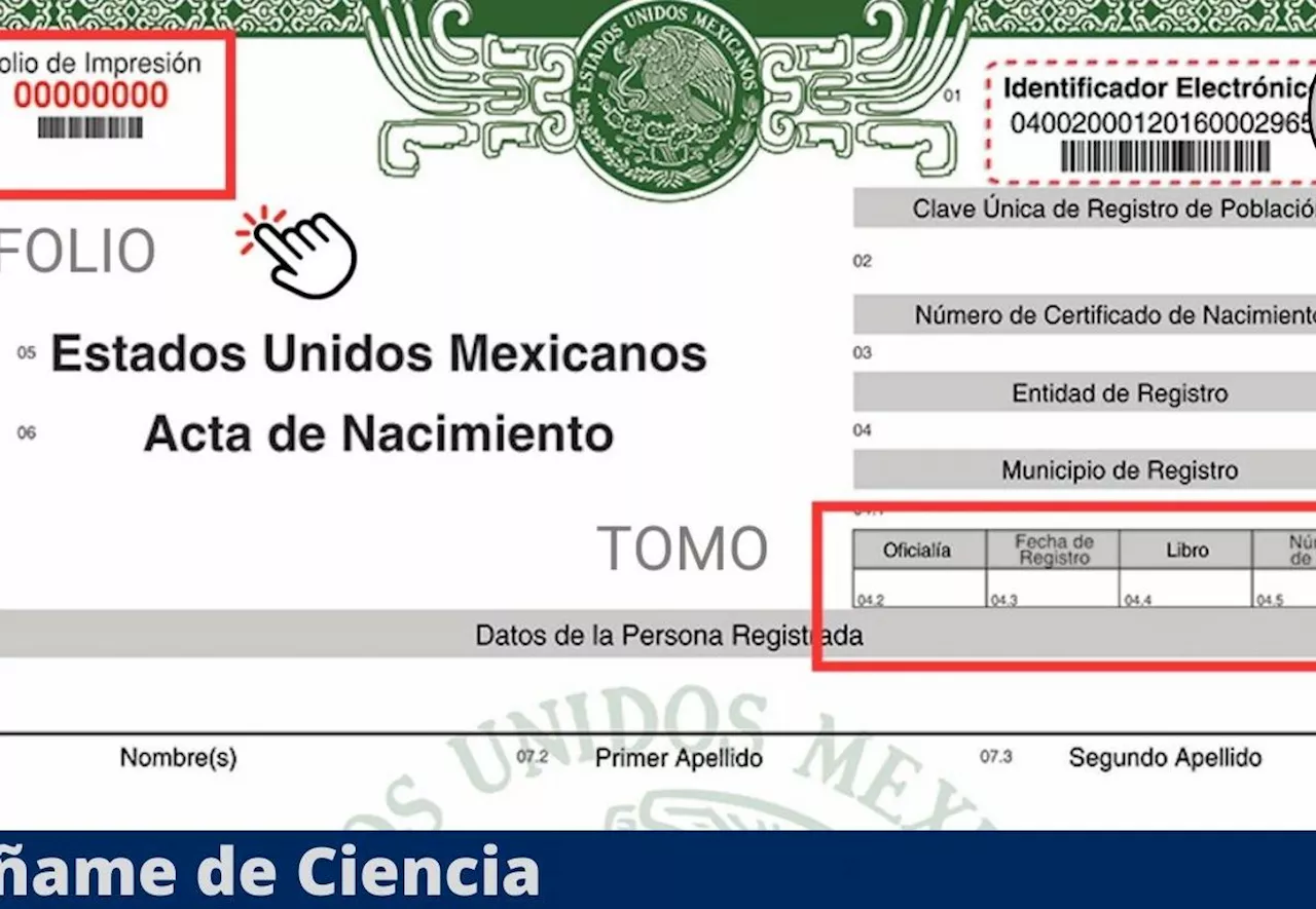 ¿Qué es el ‘folio’ del Acta de Nacimiento y para qué sirve?