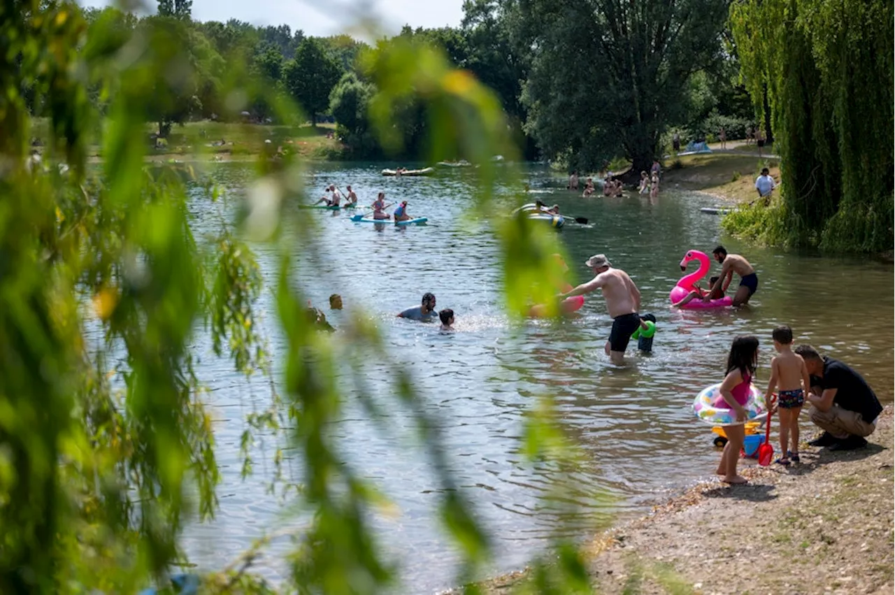 Köln: Das sind die schönsten Badeseen der Stadt