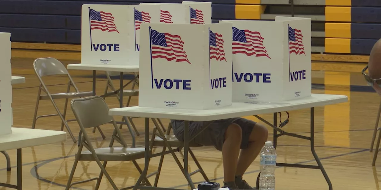 Nearly 900,000 Florida voters cast ballots for primary elections as of Friday