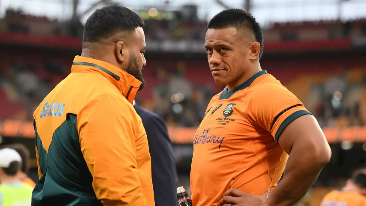 ‘Wasn’t a massive shock’: Wallabies crushed in Rugby Championship reality check