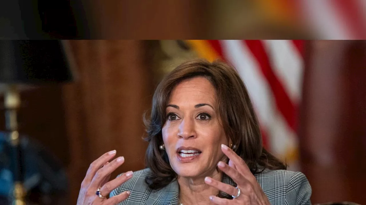 Parteitag der Demokraten: Schaden zu viele Stars Kamala Harris?