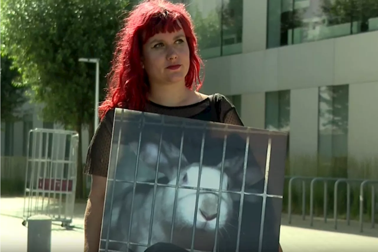 Dierenrechtenorganisatie Bite Back protesteert aan Lidl-filiaal tegen verkoop konijnenvlees