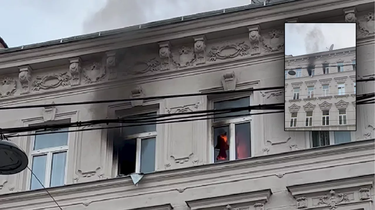 Mann im kritischen Zustand - Großeinsatz in Wien – Wohnung steht in Flammen