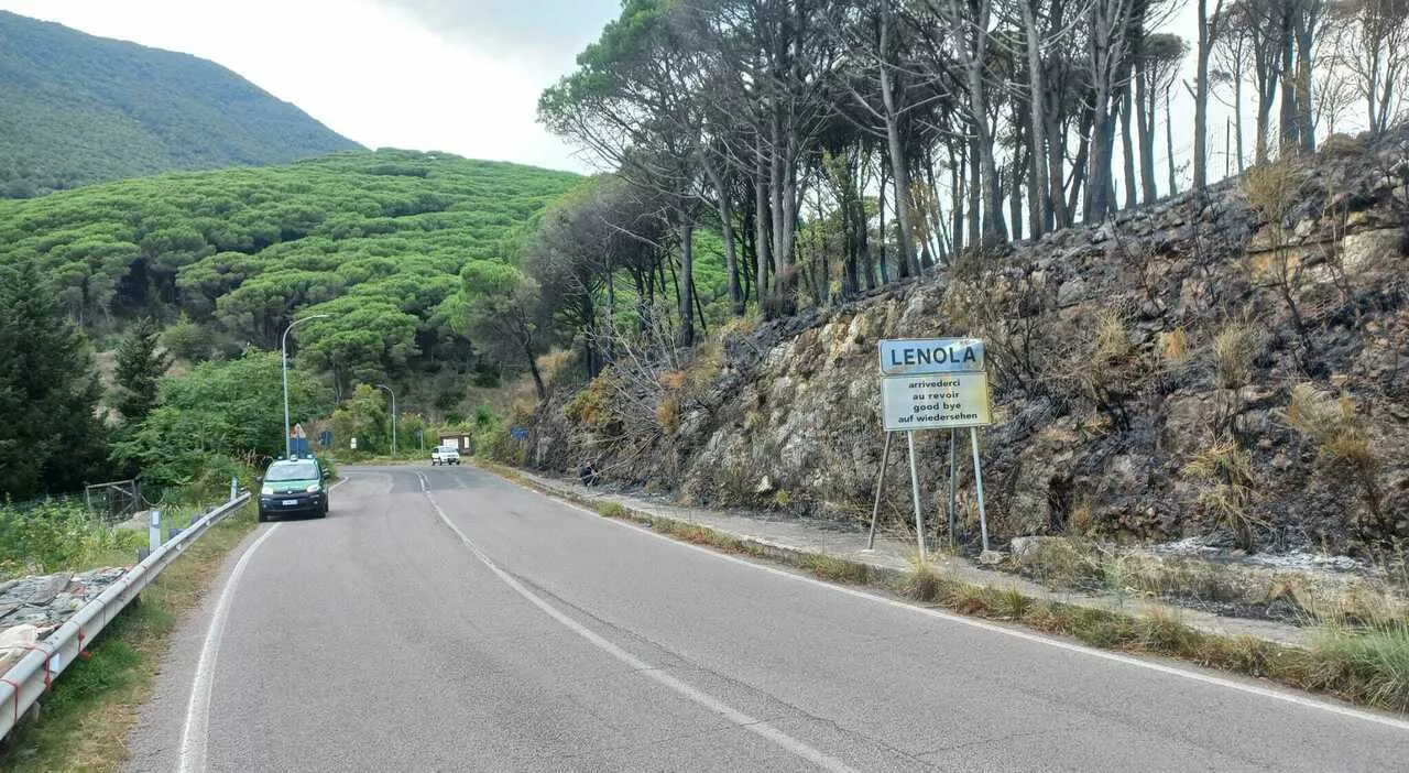 Brucia cinque ettari di pineta, piromane individuato e denunciato