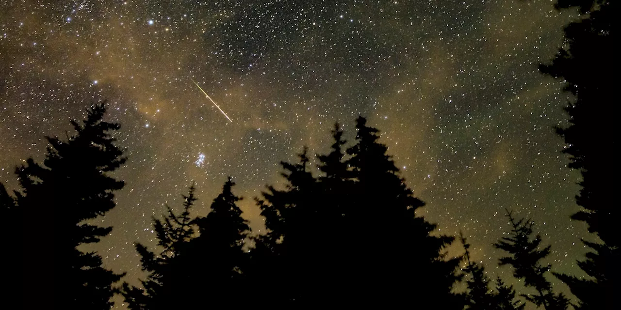 San Lorenzo non è il momento migliore per vedere le stelle cadenti