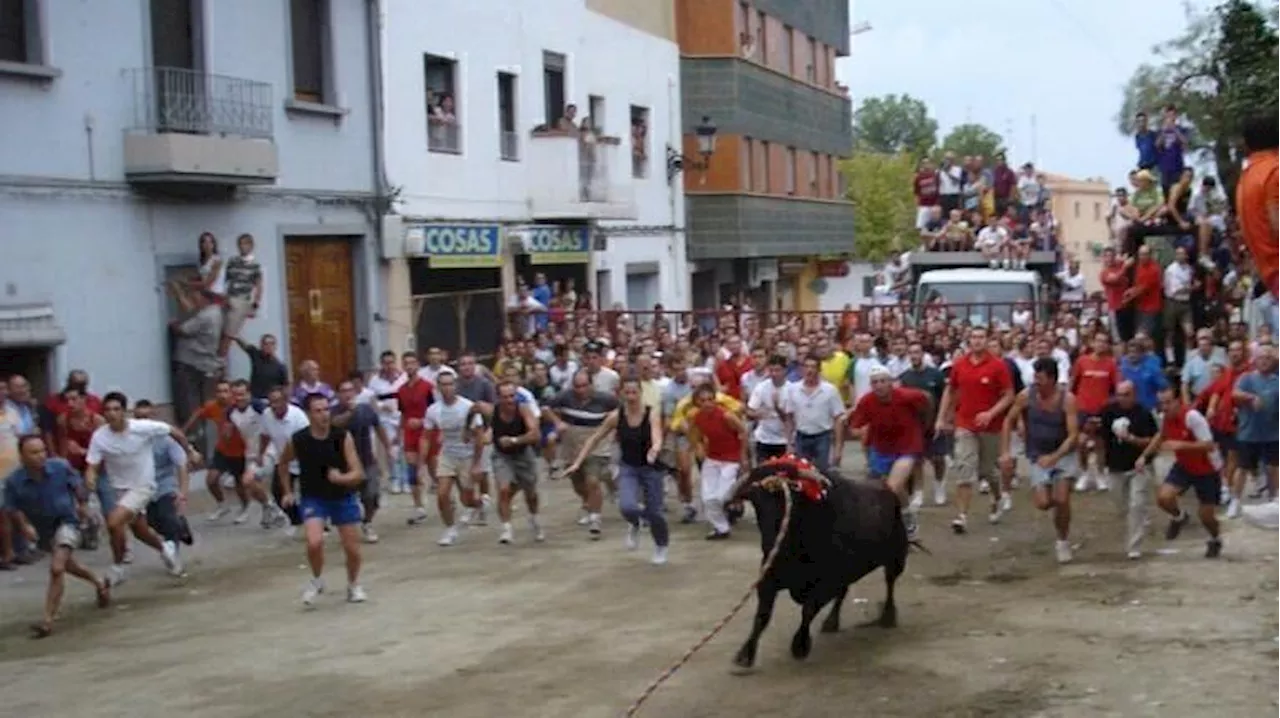 Chiva no celebrará su fiesta del Torico de la Cuerda