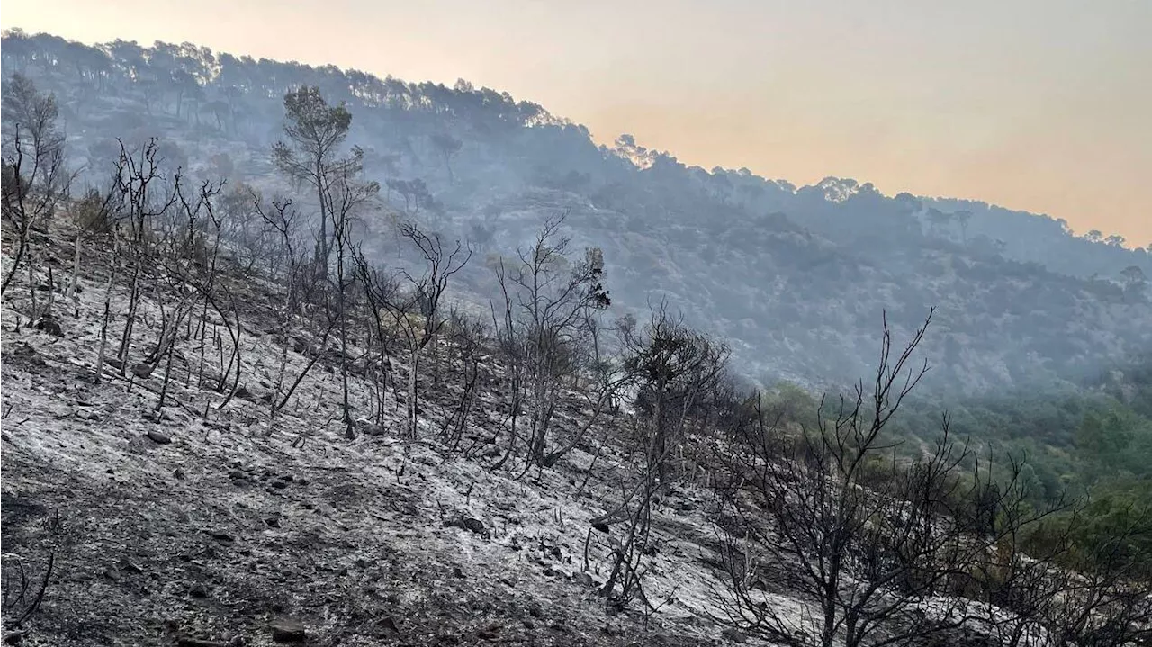 Estabilizado el incendio en Artesa de Segre, Lleida: 71 hectáreas quemadas