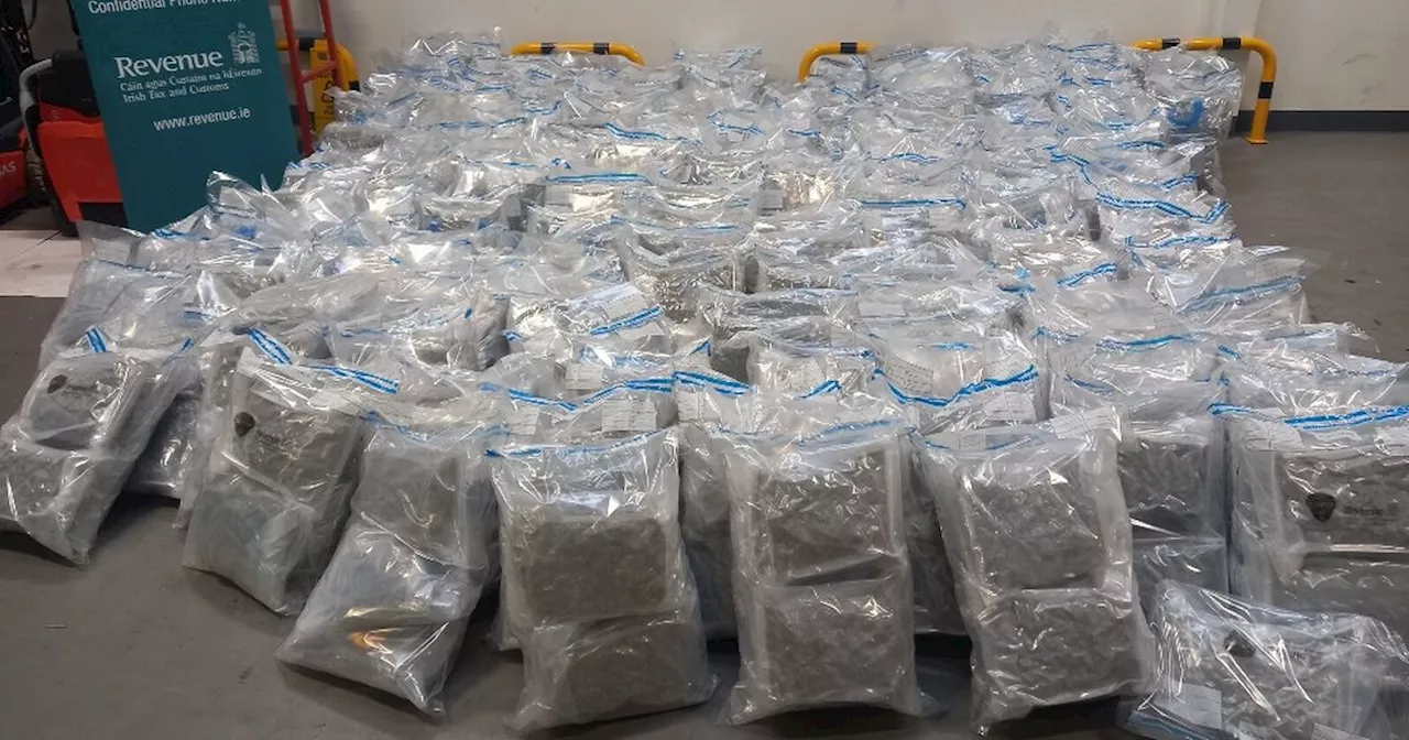 Cannabis worth estimated €16 million seized at Rosslare Europort