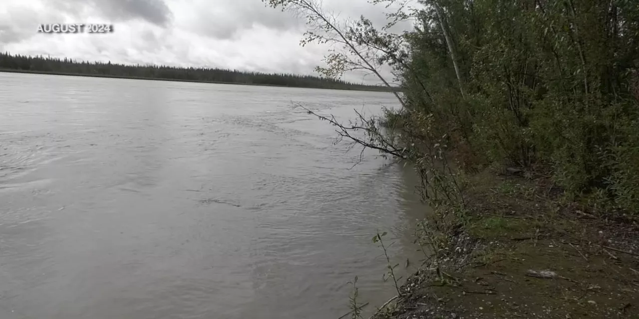 River Report: Early August rains to elevate Tanana River to near flood height