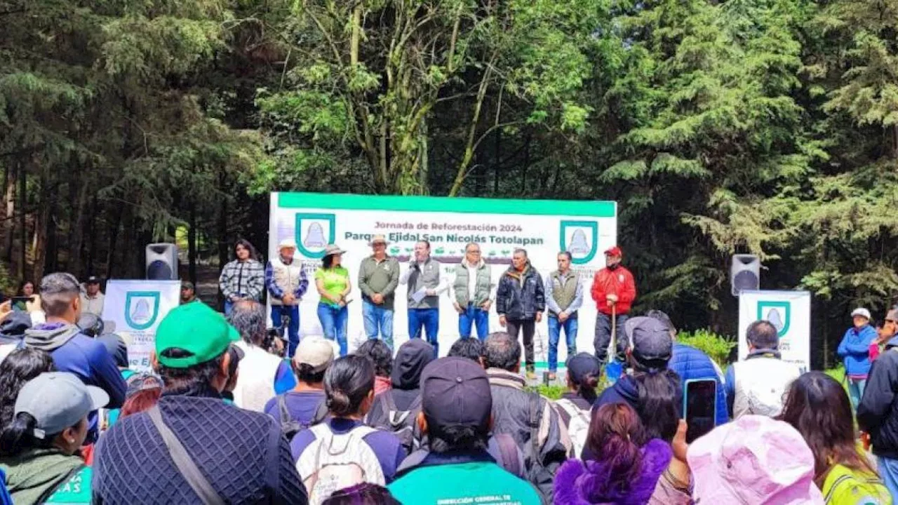 Inicia la Mega Jornada de Reforestación 2024 en la alcaldía Magdalena Contreras