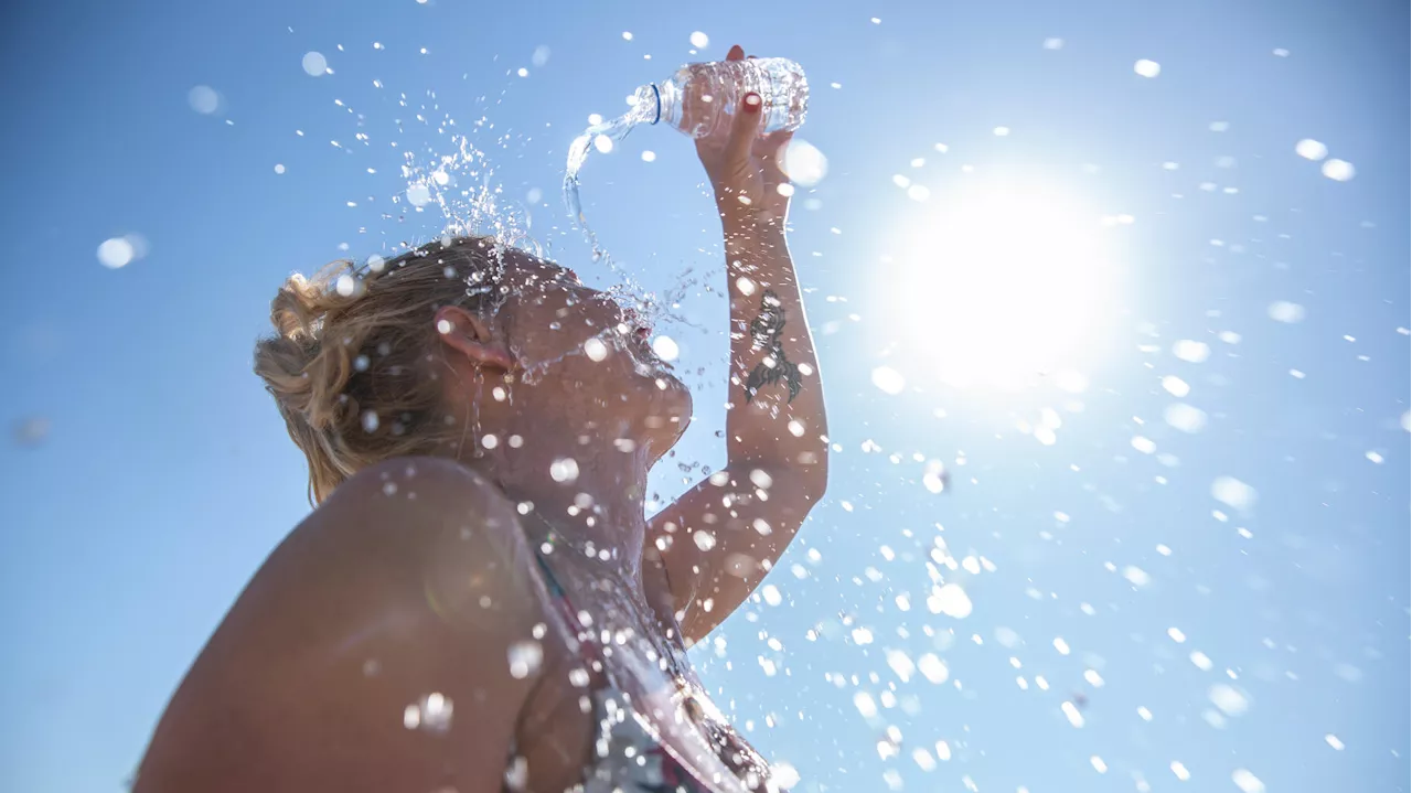 Vague de chaleur : le numéro vert « Canicule Info Service » réactivé ce samedi par le gouvernement