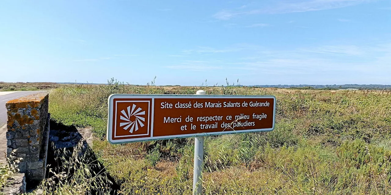 Dans les marais salants de Guérande, ou gérer le fléau du surtourisme