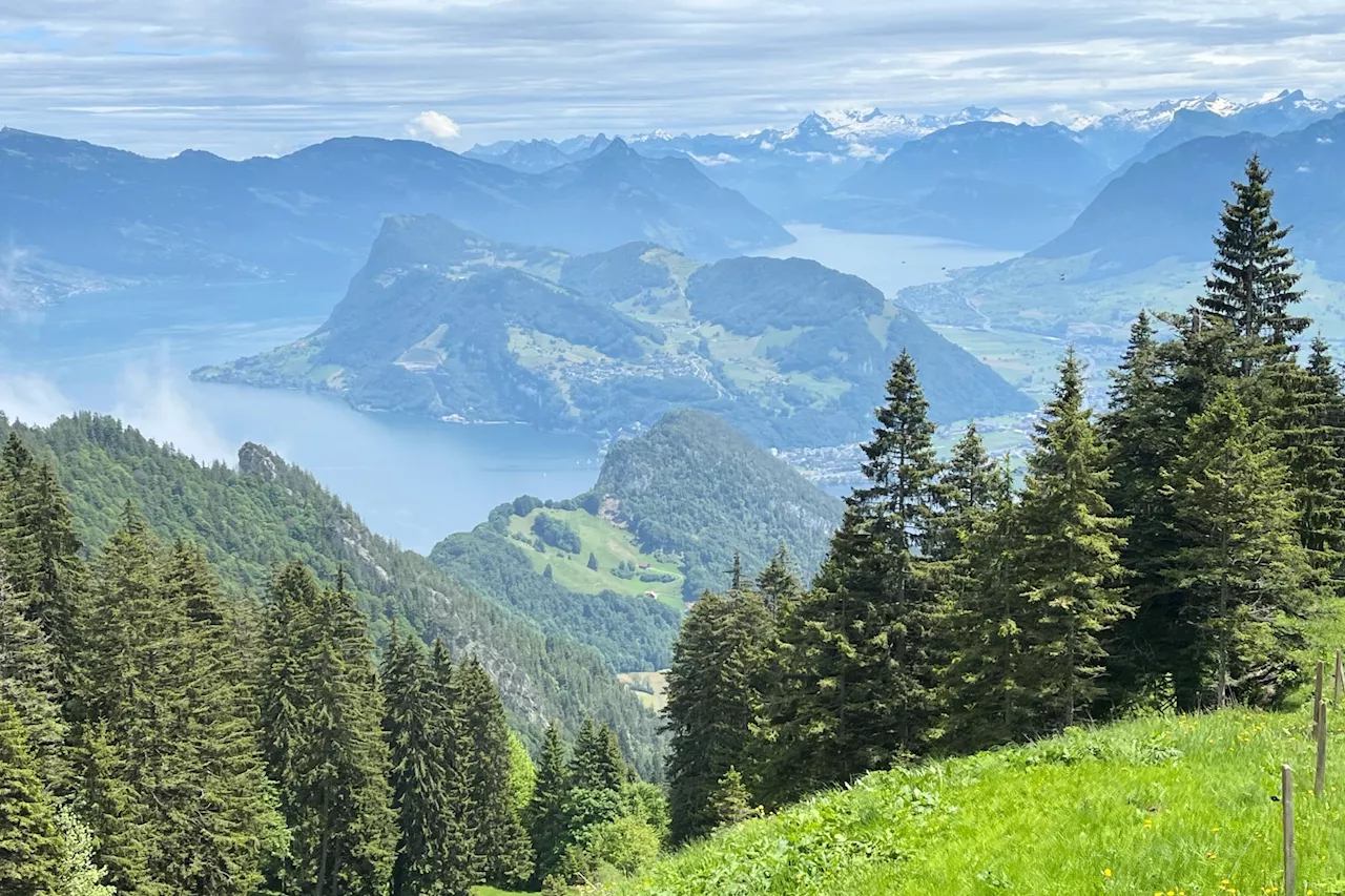  La magie des Alpes suisses en trains panoramiques et à crémaillère