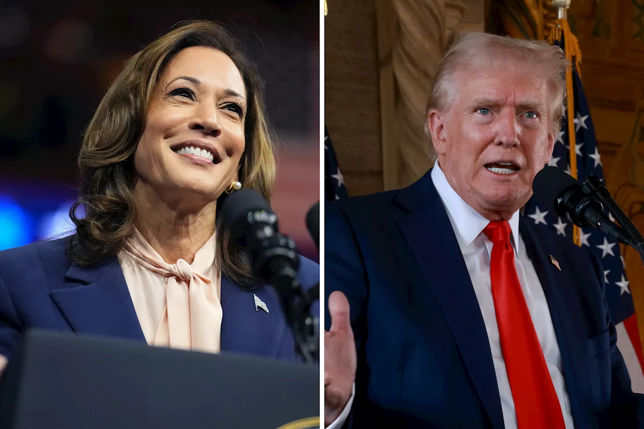 Kamala Harris Now Leads Donald Trump in Six Different Polling Averages