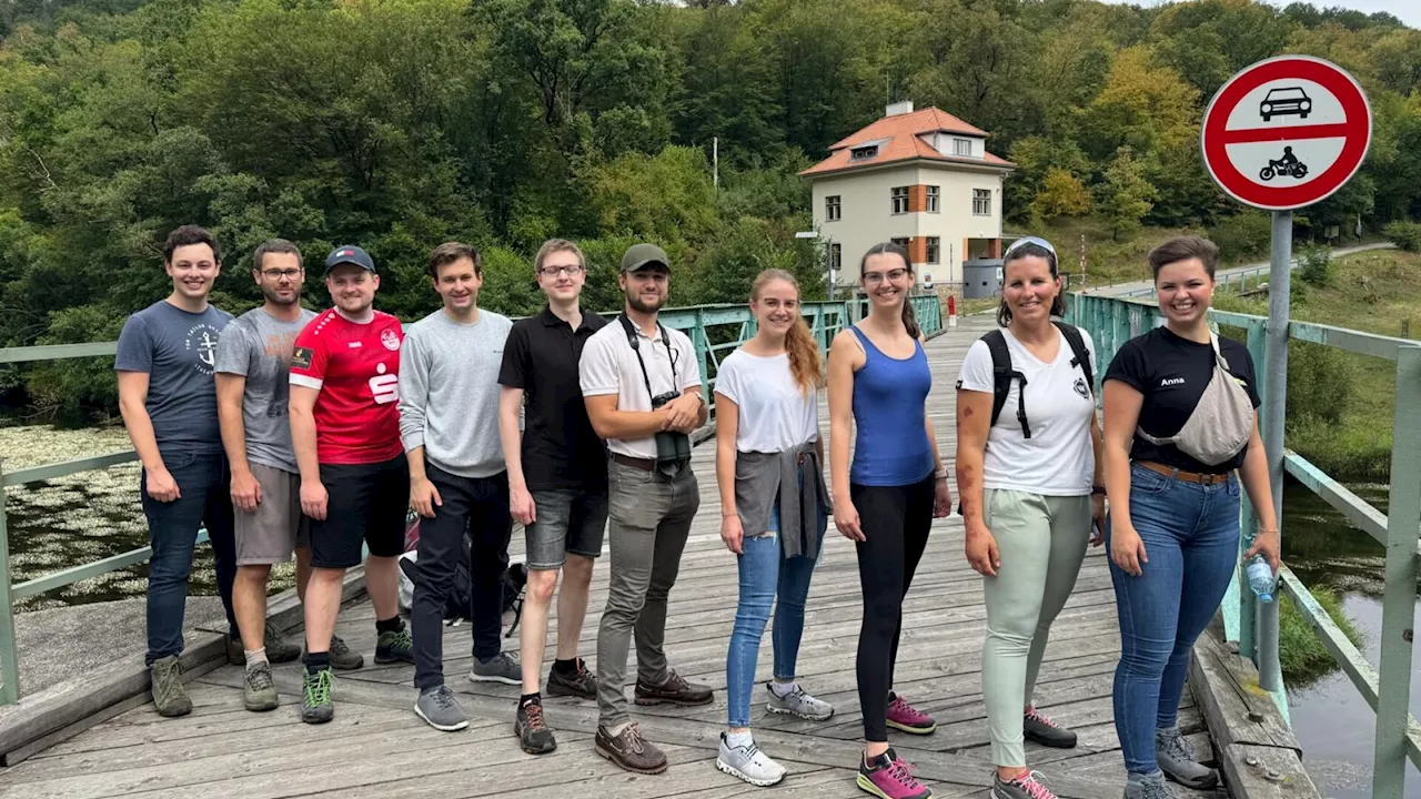 JVP'ler fütterten Wildkatzen im Nationalpark Thayatal