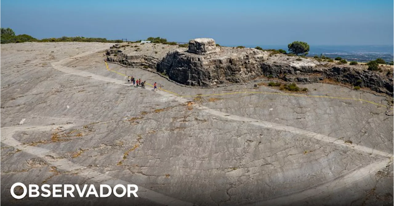 Reveladas pegadas de dinossauros com 120 milhões de anos na praia dos Arrifes em Albufeira