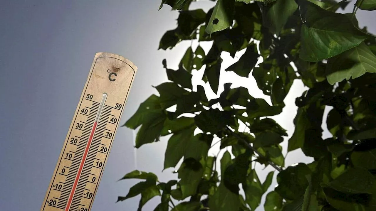 Météo France étend à 28 départements la vigilance orange canicule pour ce dimanche