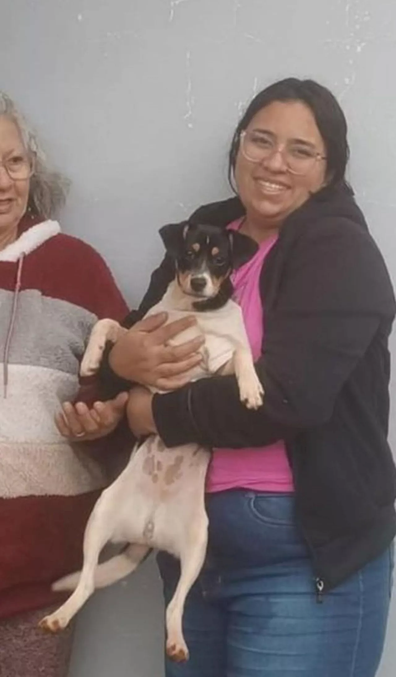 Família viajava com cachorrinha na cabine do avião que caiu em Vinhedo (SP)