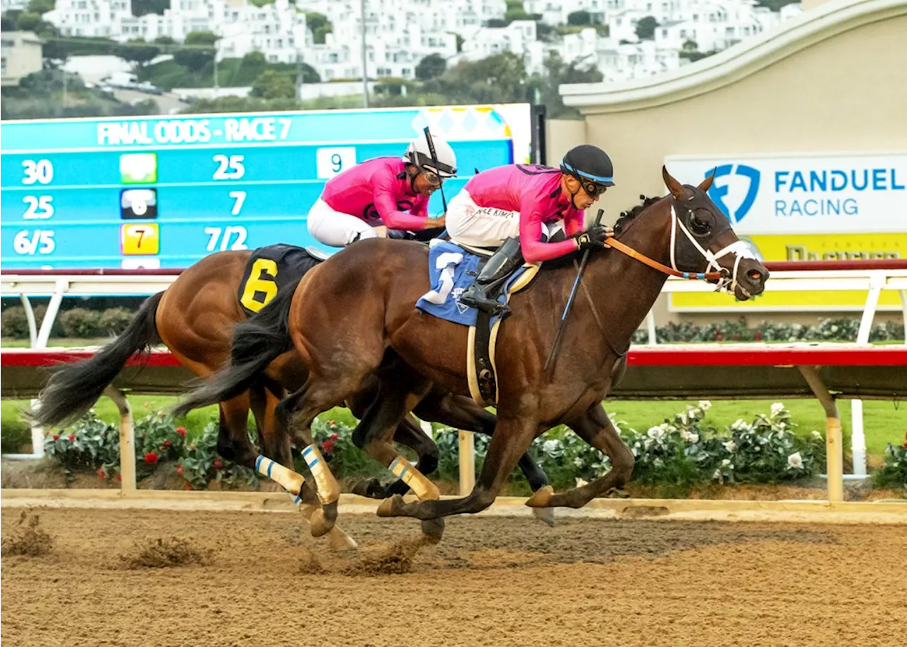 Local favorite Anisette hopes to continue 2023’s success on Saturday at Del Mar