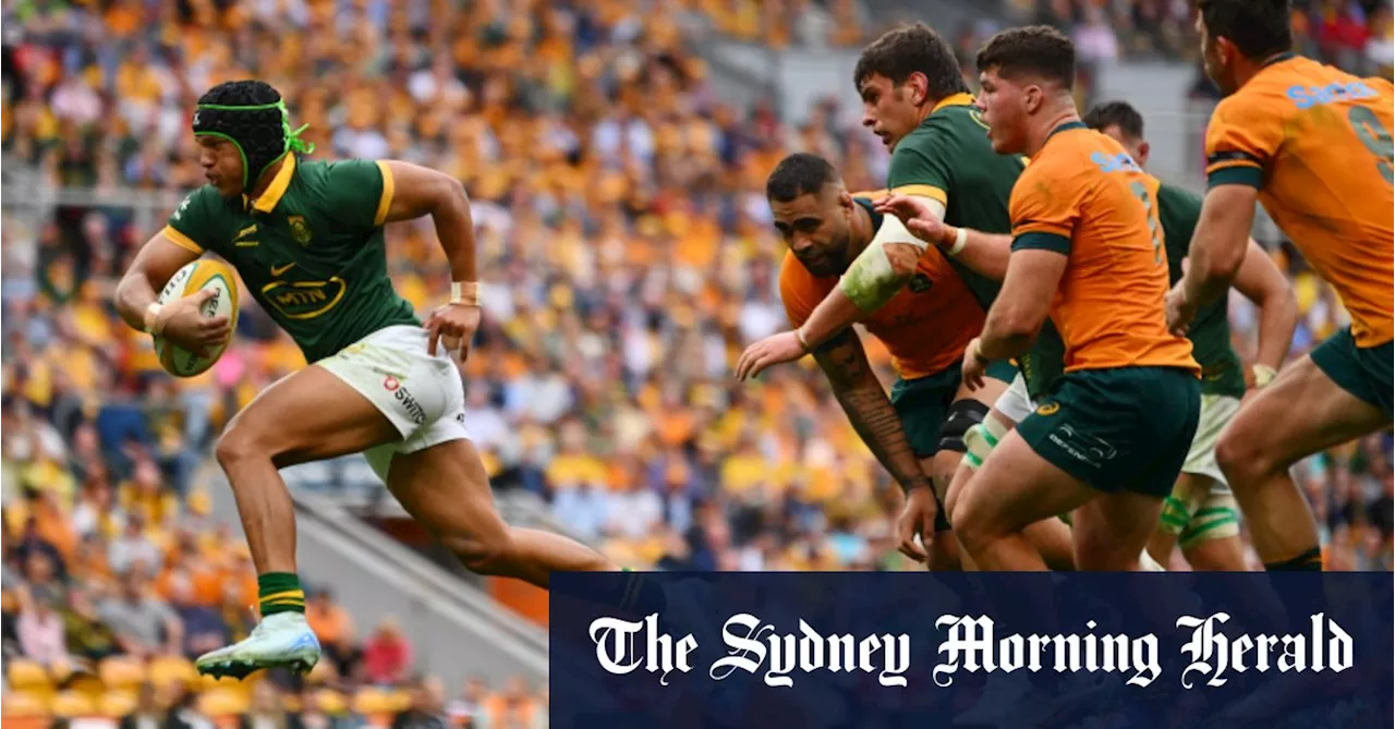 Back to reality for the Wallabies as world champion Springboks smash hoodoo