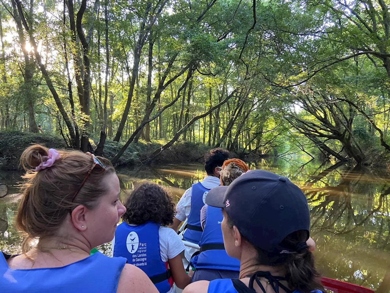 Bassin d’Arcachon : « découvrir la Leyre autrement », une soirée en canoë avec le Parc naturel régional