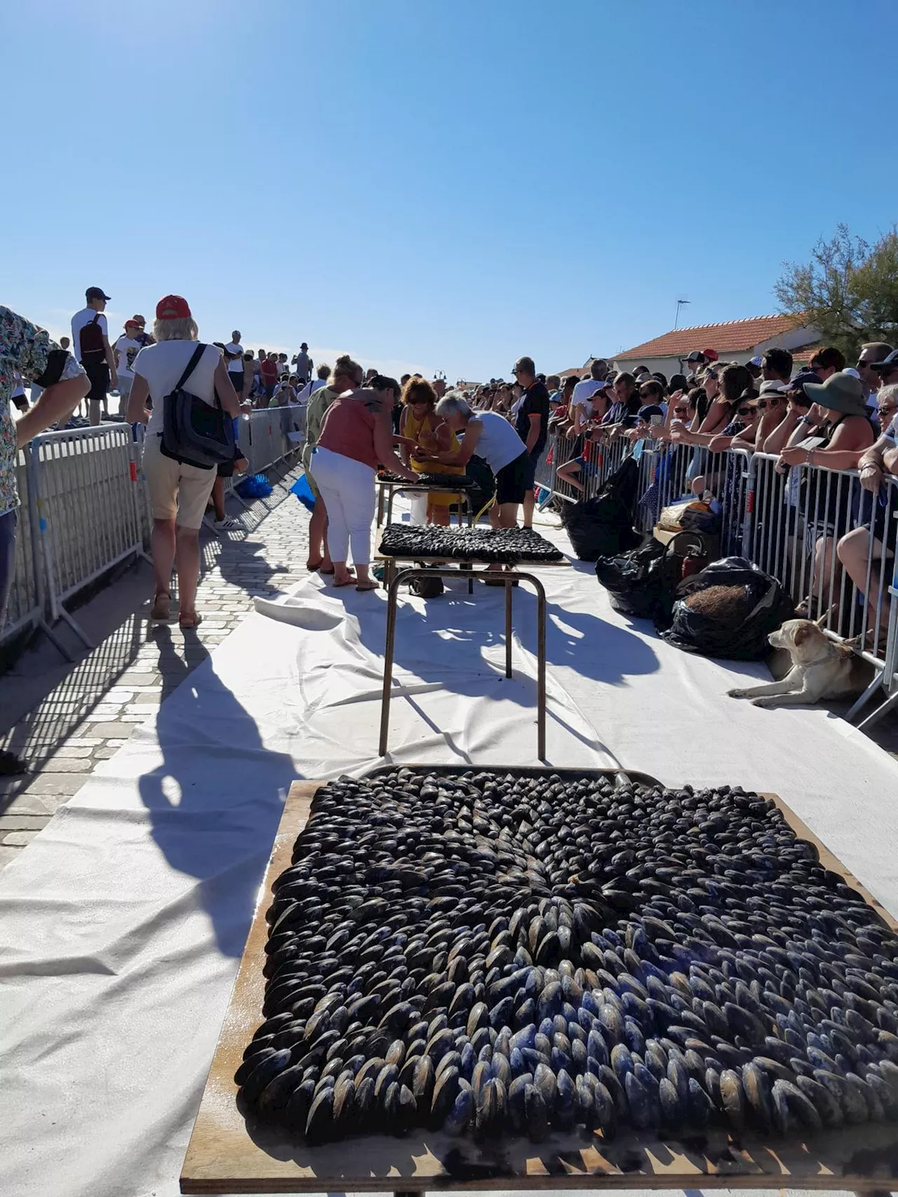 Châtelaillon-Plage : l’éclade à l’honneur de la 46ᵉ Fête des Boucholeurs