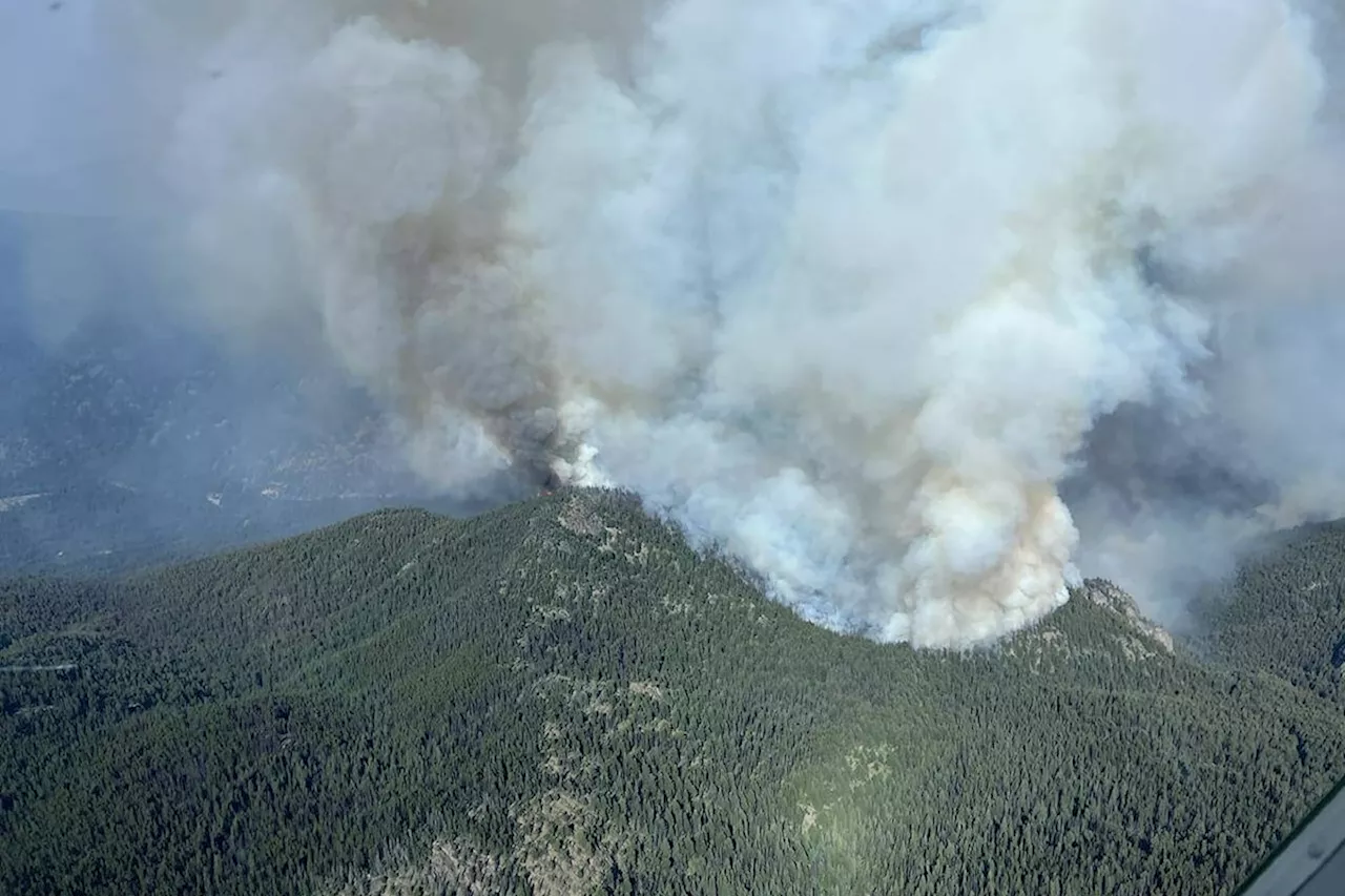 400-plus lightning strikes spark 8 new wildfires: BC Wildfire Services