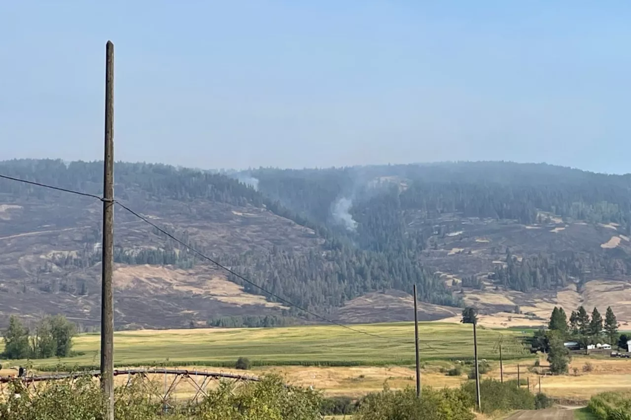 95 personnel attacking North Okanagan wildfire