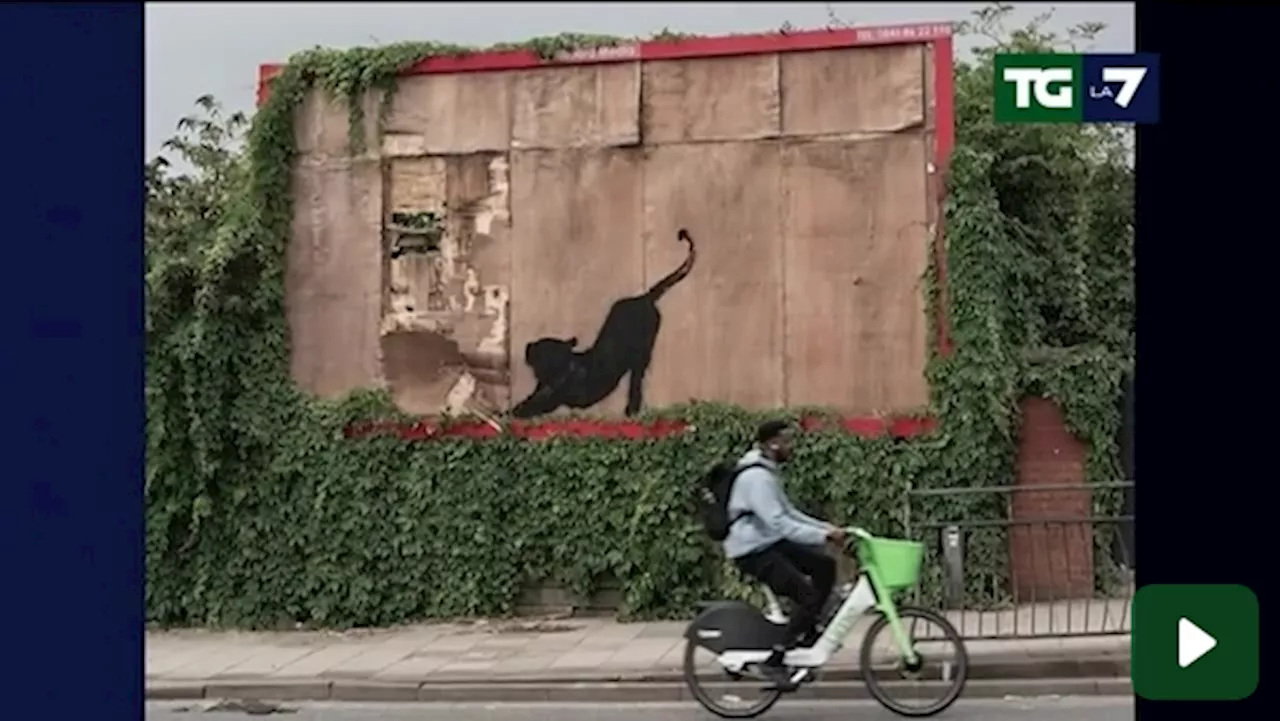 Londra, Banksy lascia un'altra opera della serie 'lo zoo'