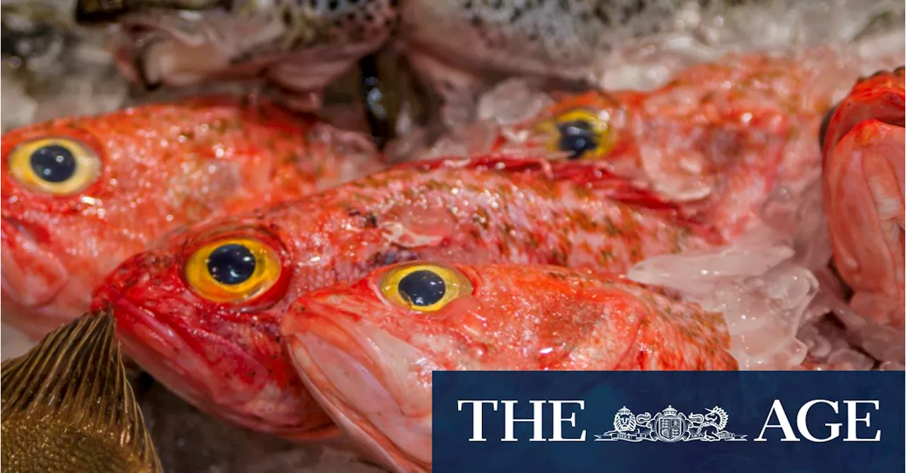 The 250-year-old fish and the decision that’s ticked off conservationists