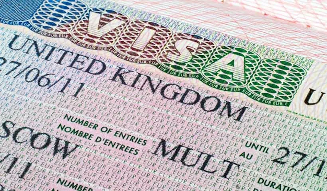 UK visa applications drop by 35% in one year after policy restricting dependants