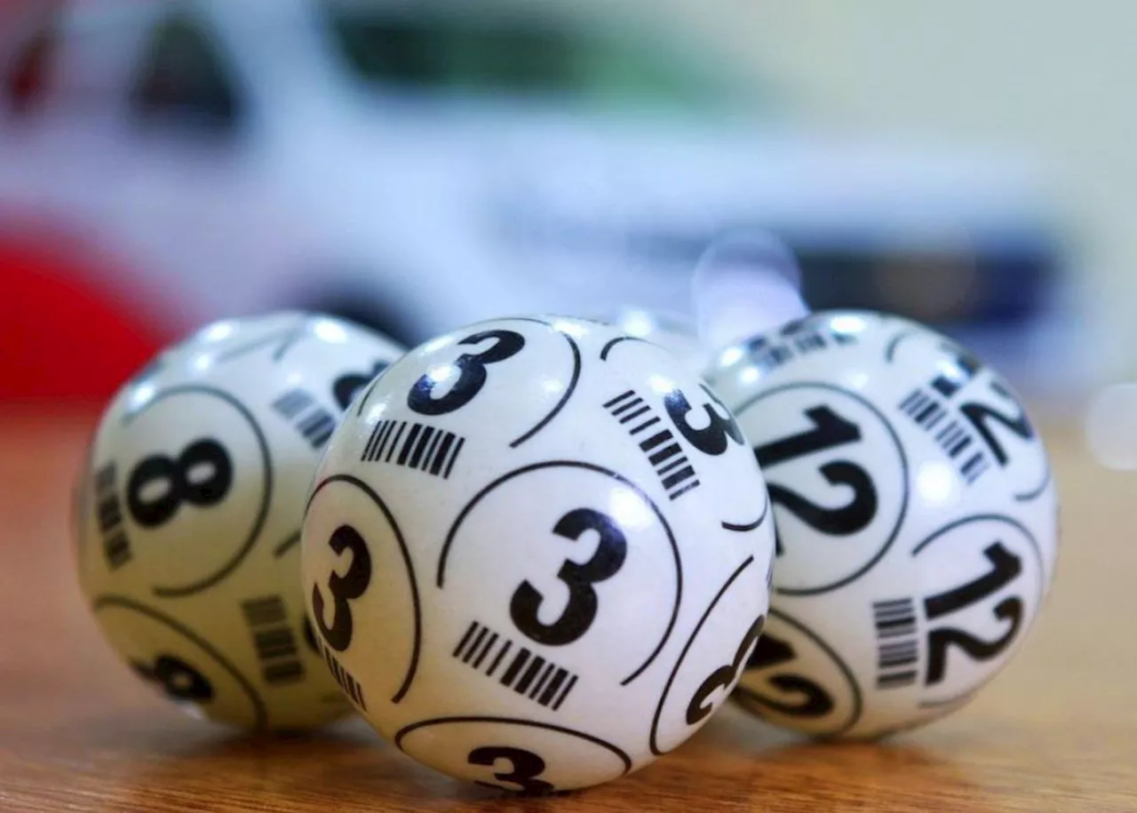 Daily Lotto draw: Three winners of Thursday, 8 August’s jackpot