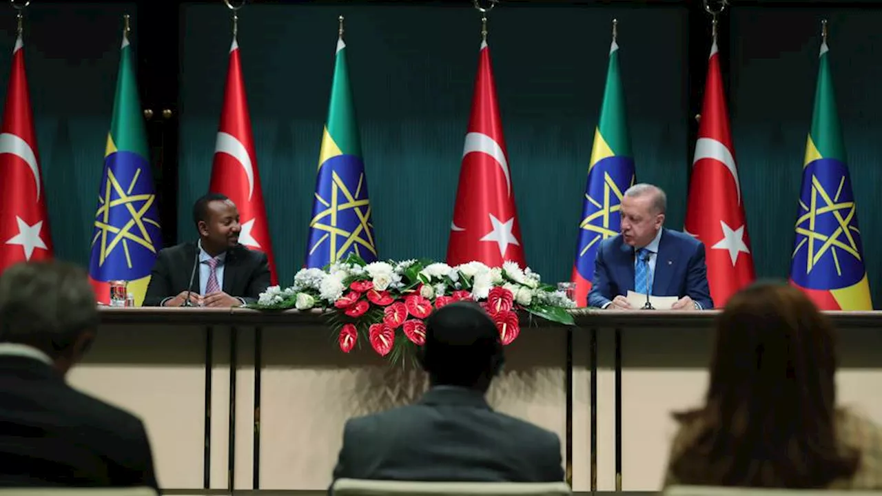 Erdogan, Ethiopian PM discuss regional tensions in phone call