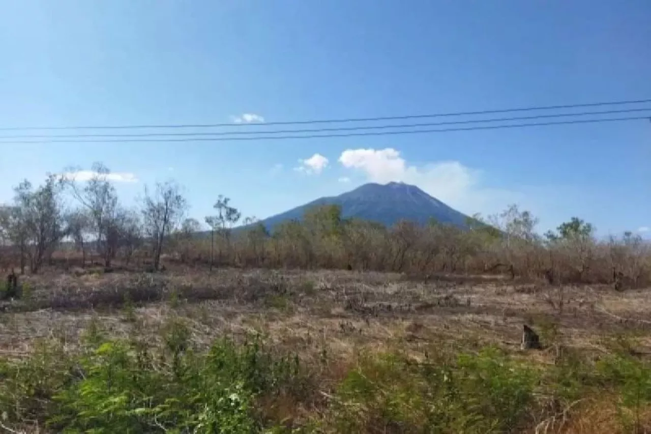 BPBD Lembata imbau warga waspadai kebakaran hutan dan lahan