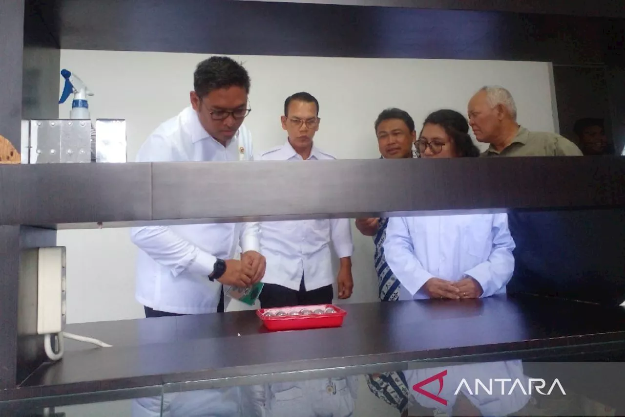 Wamentan: Teknologi mampu ciptakan bibit tanaman perkebunan yang baik