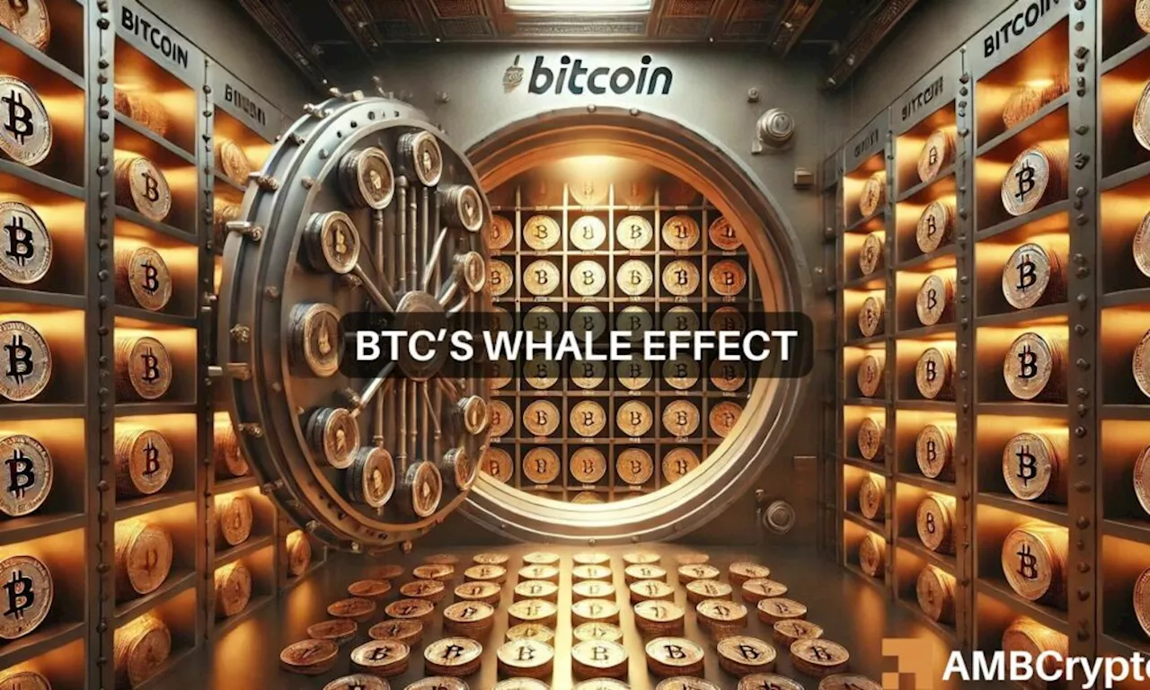 Bitcoin’s 1.9M move: Why BTC is the ‘hot pick’ for whales right now!