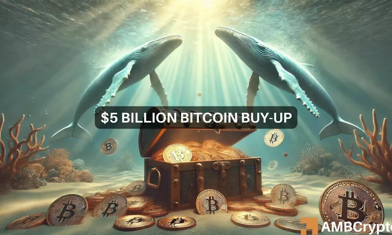 Whales snag 84,000 Bitcoin in July: Here’s how it impacts you