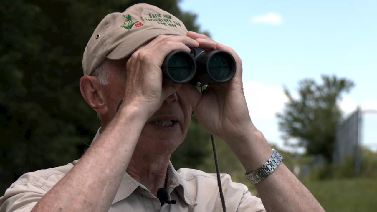 On the lookout: New Brunswick bird watcher finds his 400th species of bird