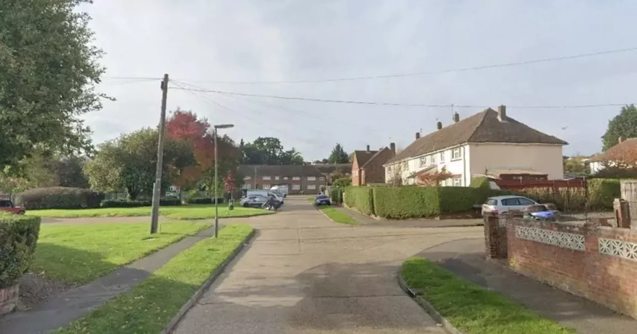 Armed police shoot young man after rammy breaks out in residential street