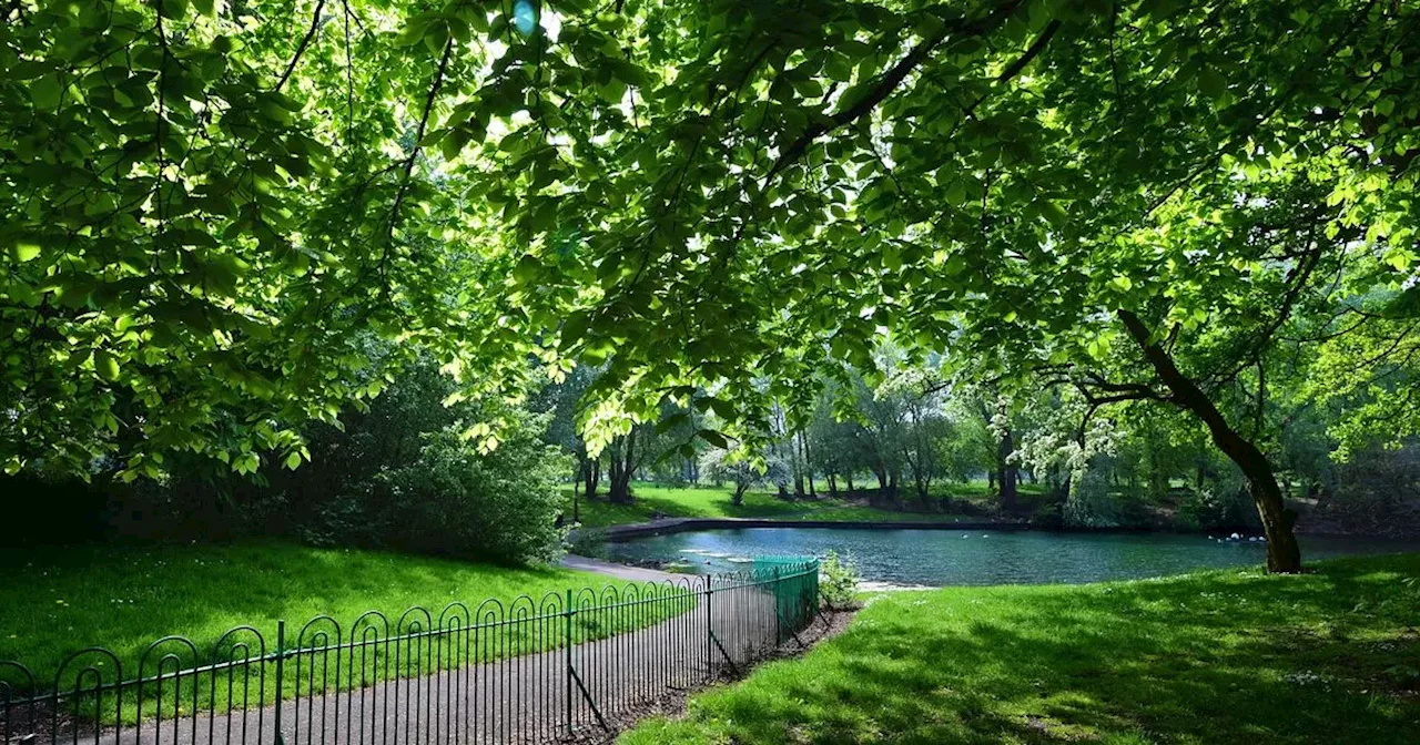 Scenic park with lakes that fills with horror once a year