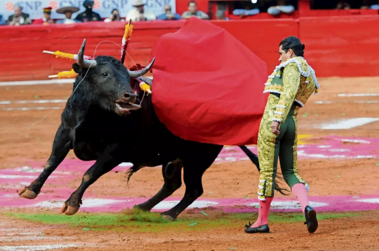 Insuficiente Ley de Protección Animal; falta prohibir las corridas de toros y peleas de perros: Rubén Moreira